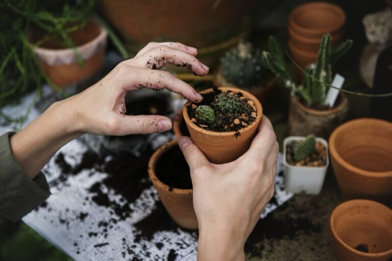 7 Seasonal Planting Strategies for Green Roofs That Thrive Year-Round