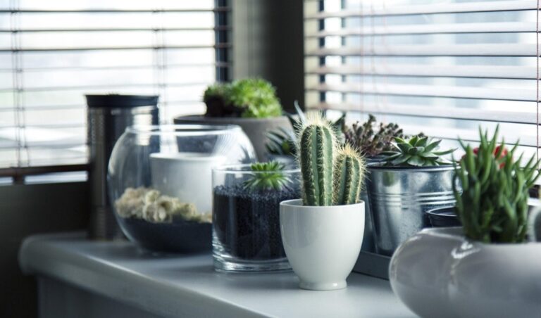 7 Hypoallergenic Roof Materials That Transform Indoor Air Quality