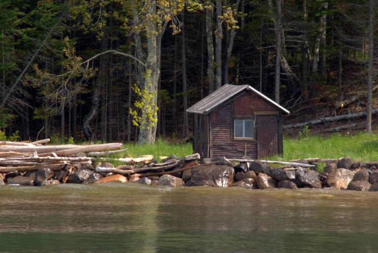 5 Passive Roof Ventilation Systems That Thrive In Remote Wilderness