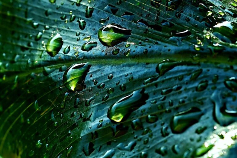 5 Best Roof Materials for Rainwater Harvesting That Maximize Water Quality