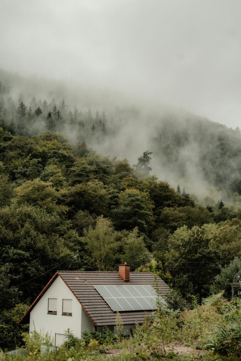 7 Seasonal Roof Ventilation Strategies for Off-Grid Homes That Slash Energy Use